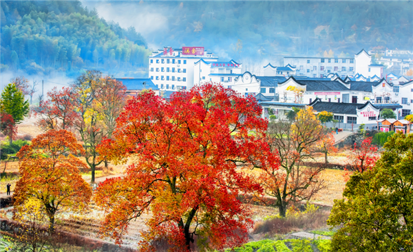 光影聚焦 艺韵新生“罗田·一见如故乡”全国摄影大展启动_fororder_图片58