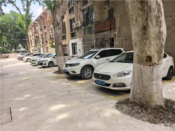 多元共治聚合力 便民服务暖人心——华师大社区携手多方力量共建美好家园_fororder_06