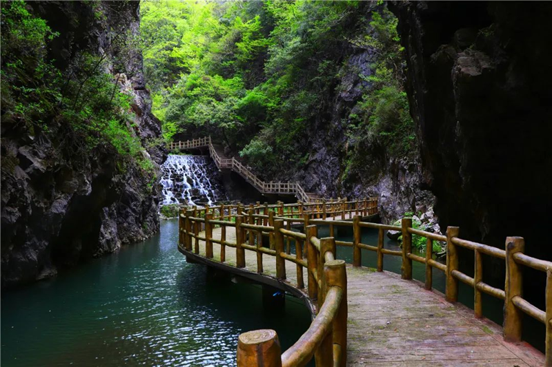“上山下水”觅清凉 暑期襄阳文旅市场热力十足_fororder_微信图片_20250815143832
