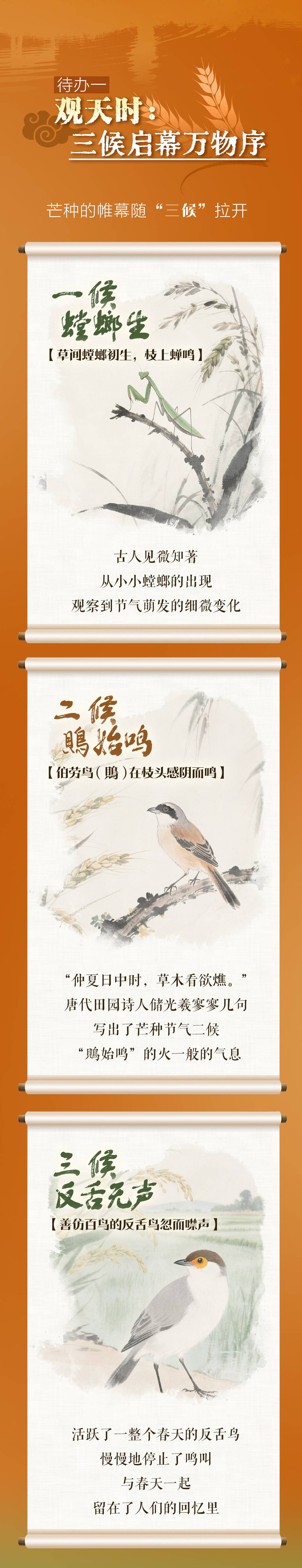 跟着节气学农事_fororder_微信图片_20250605093413