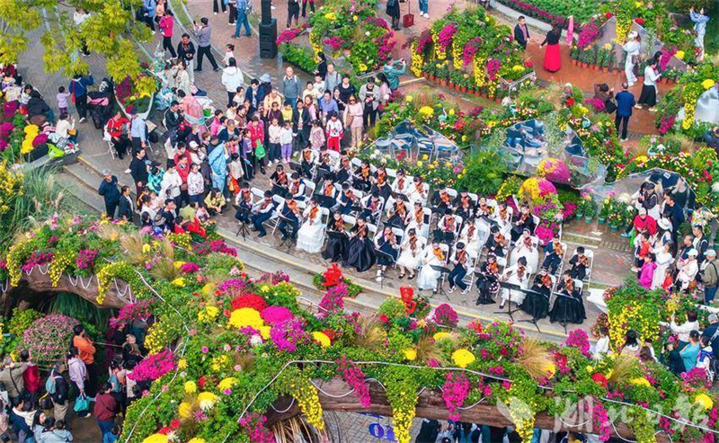 武汉金秋菊展打翻调色盘_fororder_微信图片_2025-11-03_093134_978