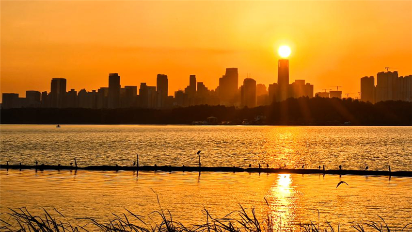 武汉：秋水明落日 流光溢江城_fororder_20251023d9903873eb9549058e5aba71a2897b8a_0b27f7415b12409fa576792b3254b8d3