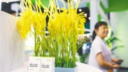 万亿生物制造新赛道跃动“湖北身影”