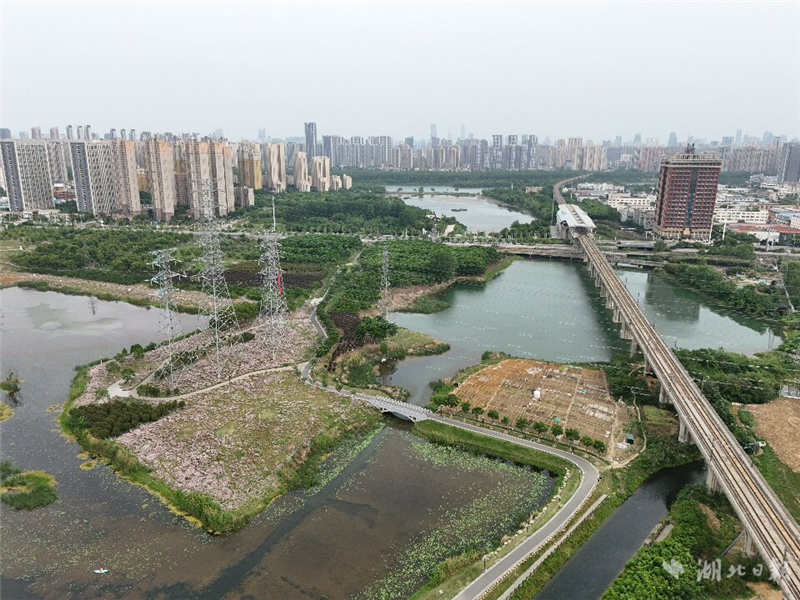 武汉雕琢“城市窗口”共赏四季芳华_fororder_e545fa1a70944e4180ed75f6594598fd