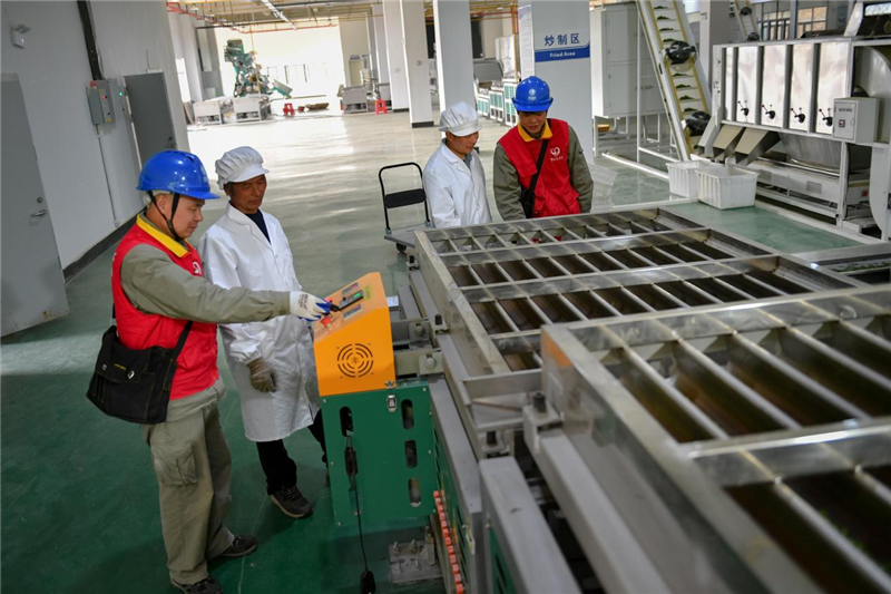 湖北黄石：“一片茶叶”的致富密码_fororder_图片3