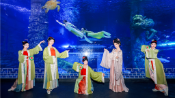 “上山下水”觅清凉 暑期襄阳文旅市场热力十足