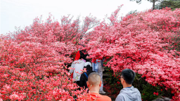 “知音湖北 花舞人间”网络大V荆楚行（黄冈）活动在麻城龟峰山启幕