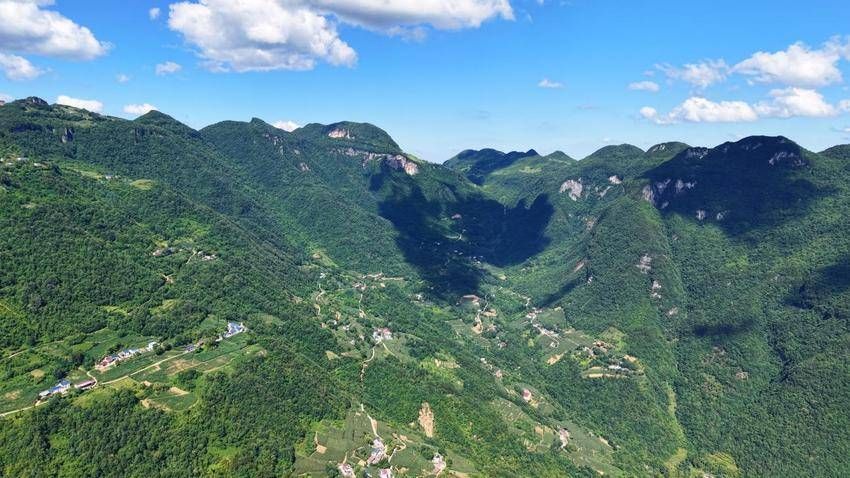 宜昌长阳：青春“网”事 00后网格员的山乡答卷