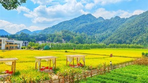 湖北恩施：秋日乡村好“丰”景