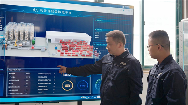 国网咸宁供电公司任鹏：用计量微光点亮万家温暖的“守光者”_fororder_35