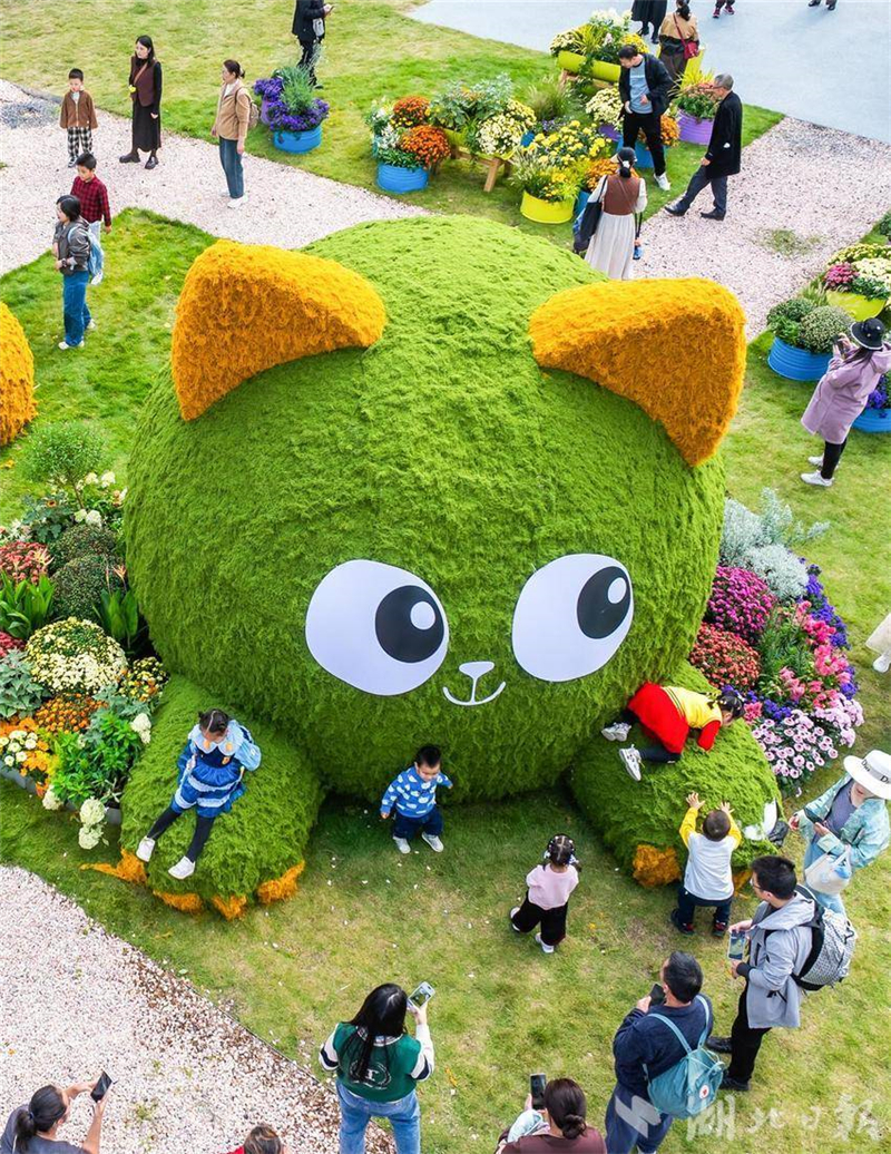 武汉金秋菊展打翻调色盘_fororder_微信图片_2025-11-03_093209_721