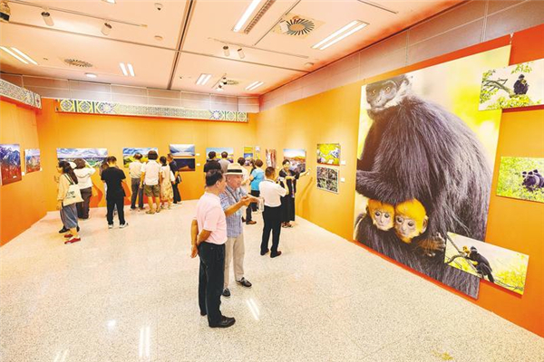 用影像勾勒新时代长江精神图谱 “影动长江”全国主题摄影大展揭幕_fororder_微信图片_2025-09-17_093913_835