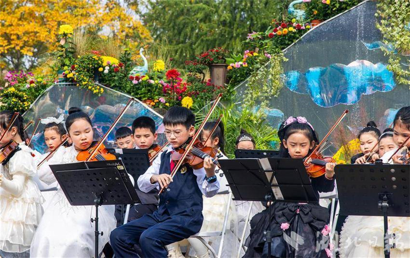 武汉金秋菊展打翻调色盘_fororder_微信图片_2025-11-03_093148_063