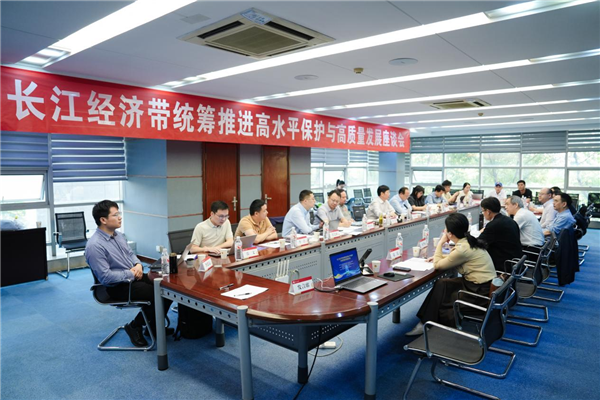长江经济带统筹推进高水平保护与高质量发展座谈会在汉举行_fororder_图片29