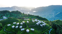茶山小帐篷撑起文旅消费新场景