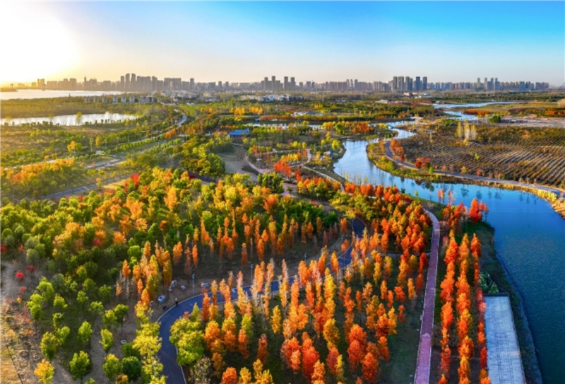 湖北襄阳：踏秋赏景最佳期 游客纷至寻瑰丽_fororder_图片12