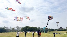 武汉黄陂木兰草原开赛！国际风筝盛会演绎空中芭蕾