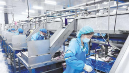 丹江鲜鱼游向世界 房县黄酒香甜八方 好水孕育“舌尖上的十堰好味”