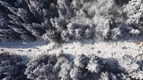 湖北咸丰：林海换银装