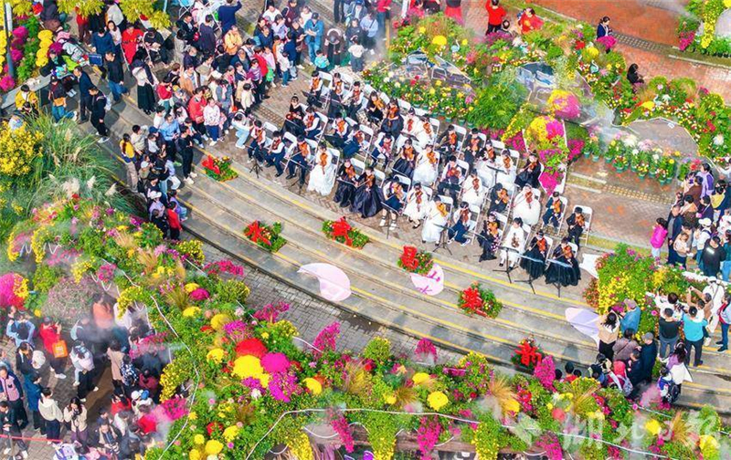 武汉金秋菊展打翻调色盘_fororder_微信图片_2025-11-03_093100_775