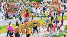 现场火爆！“武汉都市圈”花展开幕