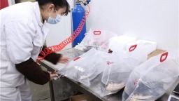 到花湖机场“打飞的” 鲜活武昌鱼“畅游”北上广深