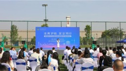 图片默认标题