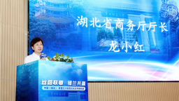 “丝路联鄂 锡兰共赢”中国（湖北）斯里兰卡经贸文化合作交流会在汉举行