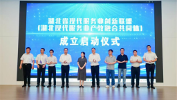 湖北支点建设暨生产性服务业高质量发展恳谈会在湖北经济学院举行