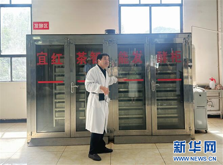 地理标志赋能鄂西茶产业：一片叶子的产业觉醒_fororder_202505076ad0770477424162953884984b2cd360_2025050743d7322099a74c928e8bb68f42bfb327
