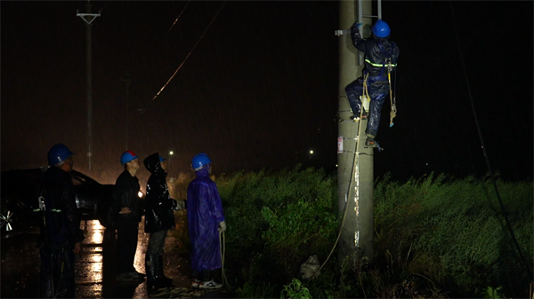 国网武汉供电公司积极应对强降雨天气保障全市电力可靠供应_fororder_图片6