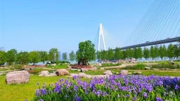 武汉：花开四季扮靓城市环线 古城新颜吸引市民打卡