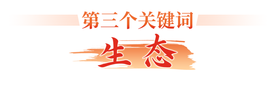 光博会何以吸引世界目光？四个关键词读懂