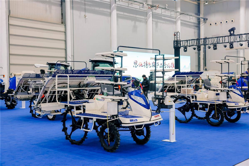 打卡2024湖北农博会