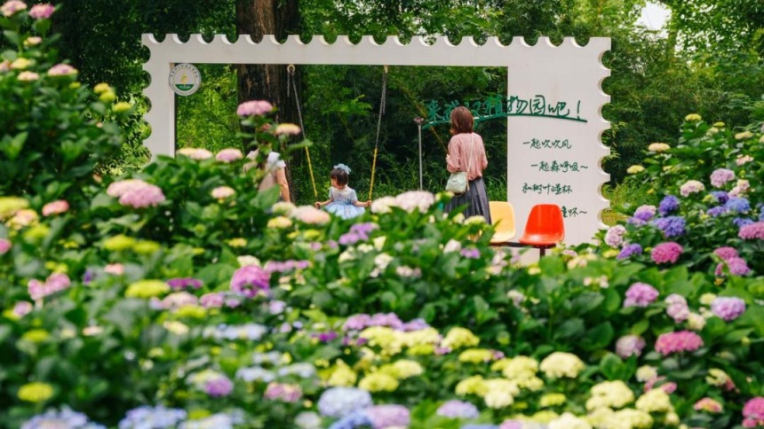 多元景致解锁生态美景 初夏来武汉东湖奔赴花海_fororder_0cb477ce091b43eaa3164fe06af51f88