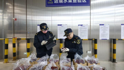 增长18.2%硬核答卷背后 海关如何支撑湖北外贸跃升？