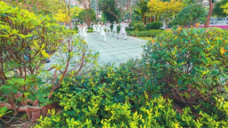 在鄂州抓住秋天的“小尾巴”