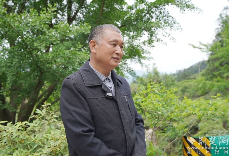 “荒野寻茶“”火爆出圈，第九届红安老君眉茶文化节开幕