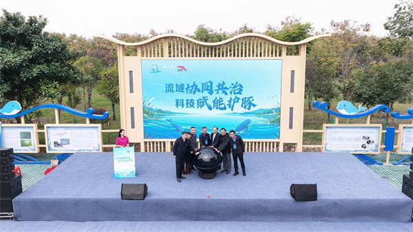 石首天鹅洲江豚突破百头