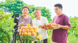 “住一晚、吃三餐、带两包”——枣阳农文旅的“留量”密码