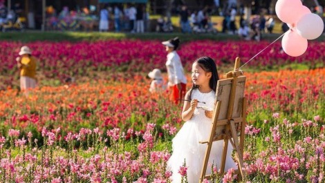 美翻了！武汉东湖铺上“五彩花毯”