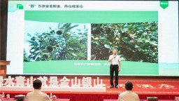 襄阳首次！20个逆袭村同台PK 保康县黄龙观村斩获一等奖