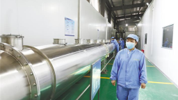 “随州香菇”走进全球60多个国家和地区