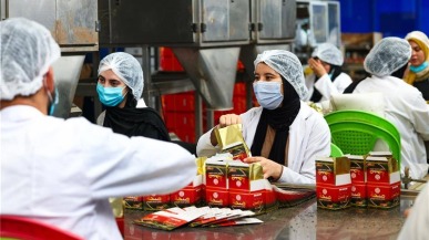 探访湖北茶叶出海路 一盏鹤峰茶联通万里情