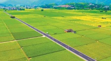 三明沙县乡村公路美如画_fororder_三明沙县乡村公路美如画