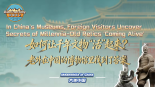 如何让千年文物“活”起来？老外在中国的博物馆里找到了答案_fororder_11