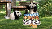 时政Vlog丨在华盛顿遇见中美人民友谊使者_fororder_6b30e224654e4a9b8799f74551fa72ea.1920x1080
