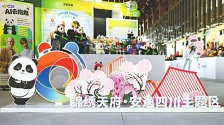 不仅是“好看的四川” 更要让人看到“会玩的四川”_fororder_24dc40b6-c76b-477a-adce-f78a92441275.800x533.750x499