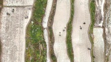 宁德寿宁：打造“党建+粮田”耕种示范基地_fororder_60fefa2674cb4b1d8e45036a3cac2828.999x562.960x2147483647