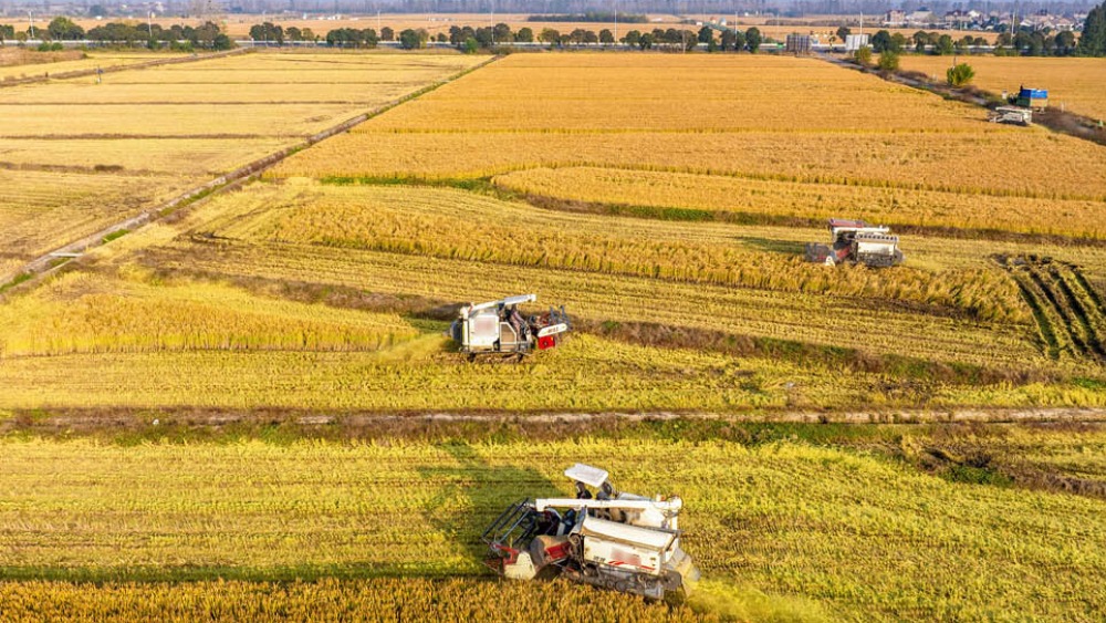 全国粮食产量再创新高 丰收来之不易_fororder_1766892309750_30